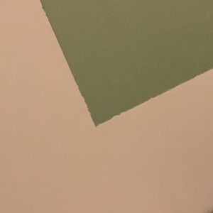 Meet your Posher, Miguel